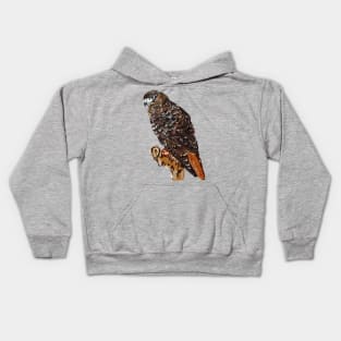 kite Kids Hoodie